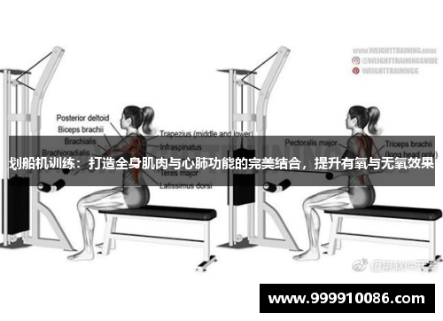 划船机训练：打造全身肌肉与心肺功能的完美结合，提升有氧与无氧效果